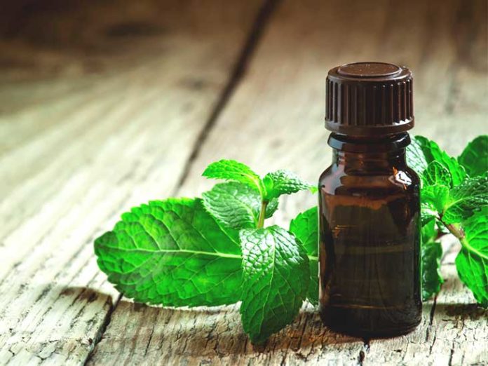 peppermint oil