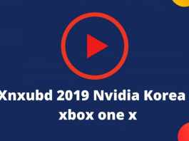 Xnxubd 2019 Nvidia Video Korea