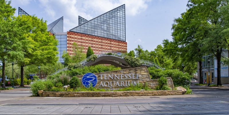 Tennessee Aquarium