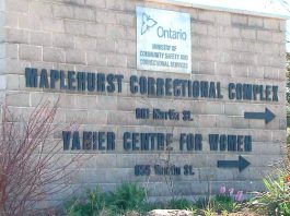 maplehurst correctional complex