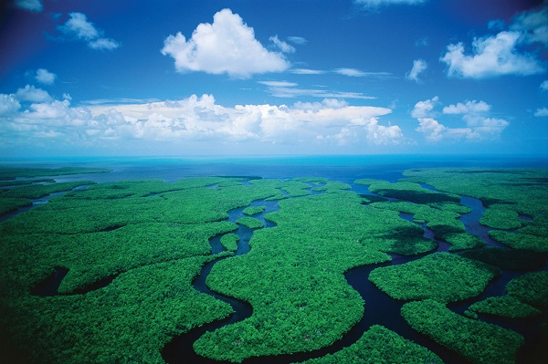 Everglades National Park