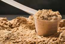 Types of Protein Powder and Its Benefits