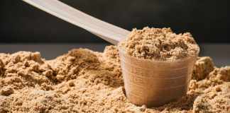 Types of Protein Powder and Its Benefits