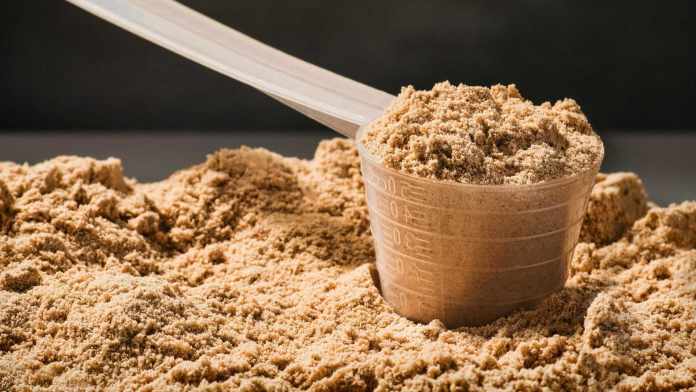 Types of Protein Powder and Its Benefits